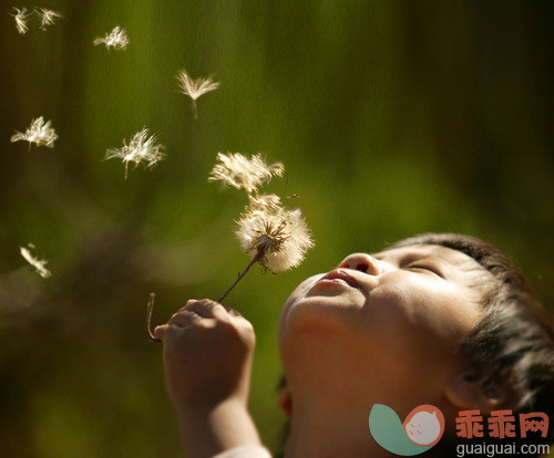 那几棵茅针草