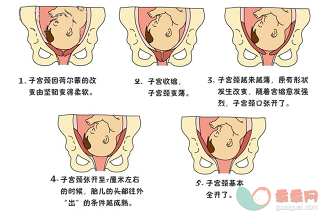 想要顺利分娩，你必须知道的分娩知识