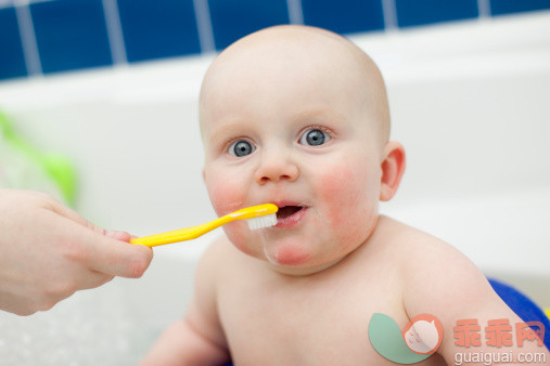 宝宝长牙时就开始刷牙，不用牙膏？