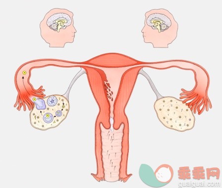 女人上环有什么危害？