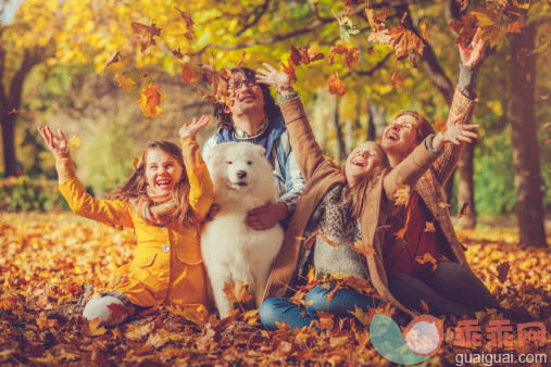 公园,人,活动,生活方式,自然_504565843_Family of four outdoors in autumn park_创意图片_Getty Images China