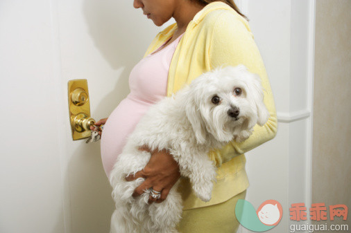 孕妇可以养宠物吗？应该注意什么？