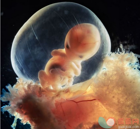 当妈妈在分娩时，胎宝宝在干嘛？