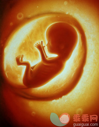 当妈妈在分娩时，胎宝宝在干嘛？