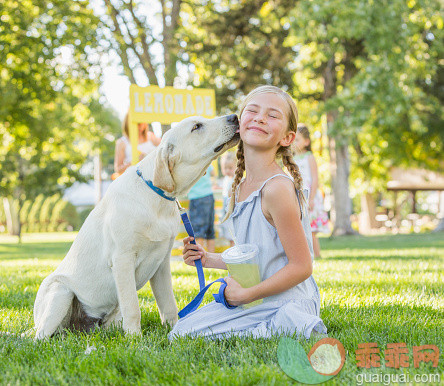 桌位,文字,人,饮食,商务_532031663_Pet dog licking face of Caucasian girl on grassy lawn_创意图片_Getty Images China