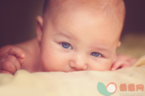 遗传学表明，孕早期是预防兔唇的关键时期！