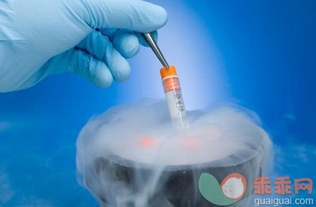 冷冻卵子到底有没有“卵”用？看了就知道
