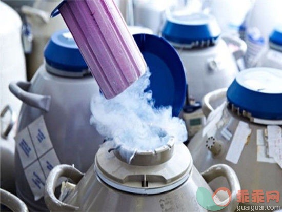 冷冻卵子到底有没有“卵”用？看了就知道