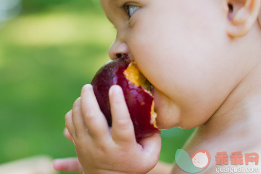 宝宝夏季吃什么水果好？