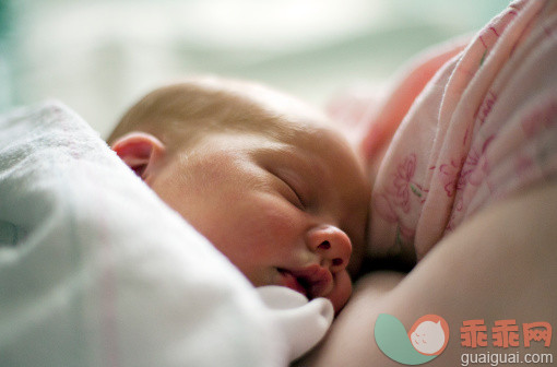 “月子”里需要重点补充饮食