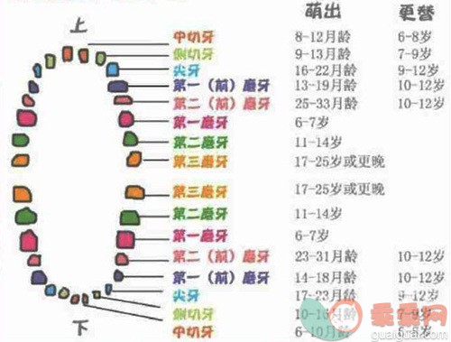 美国牙医教你如何正确护理宝宝牙齿