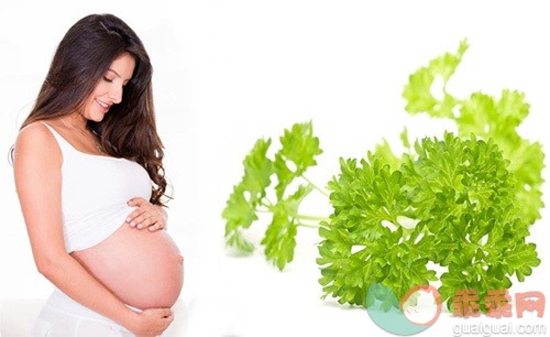 孕妇可以吃香菜吗？