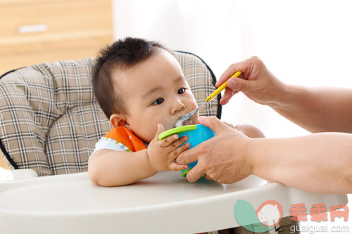 宝宝辅食喂养手册，新手爸妈快收藏