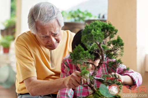 重阳节期话“焦虑” 老人带孙如何不再心慌慌？