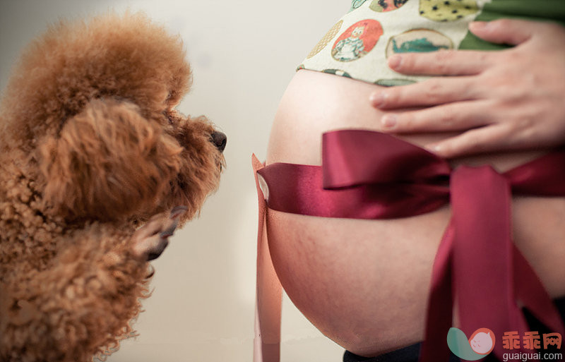 宠物毛会引发胎儿过敏吗？