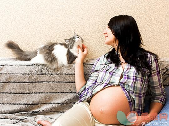 怀孕了还能养宠物吗