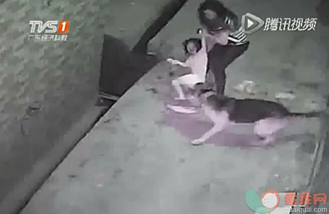 三岁女童深夜被大狼狗撕咬 警察：谁敢去抓！