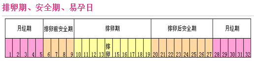 备孕必知 排卵期和生理期