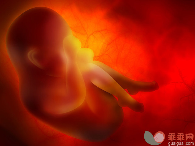 影响胎儿性别的13大诱因