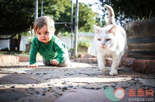 宝宝会爬之后的安全事项