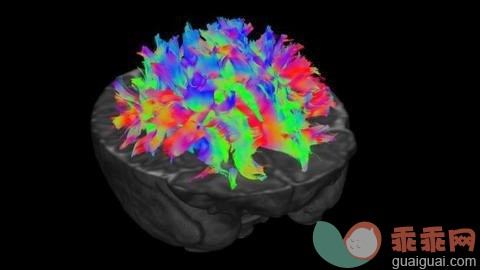 新生儿早期的大脑是这样，太不可思议了