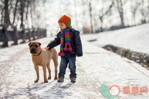 人,寒冷,鞋子,户外,茄克_478817803_Little boy with a dog in the park_创意图片_Getty Images China