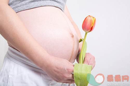 怀孕的,人生大事,母亲,快乐,肚子_6c5f30734_孕妇拿着花朵_创意图片_Getty Images China