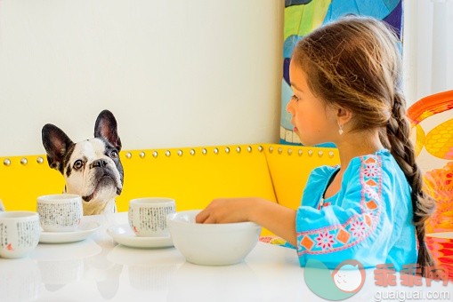 进行中,人,休闲装,饮料,住宅内部_558965485_Girl and dog looking at each other at table_创意图片_Getty Images China