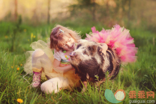 人,连衣裙,户外,短发,金色头发_168425169_Little girl with a pig in tutus_创意图片_Getty Images China