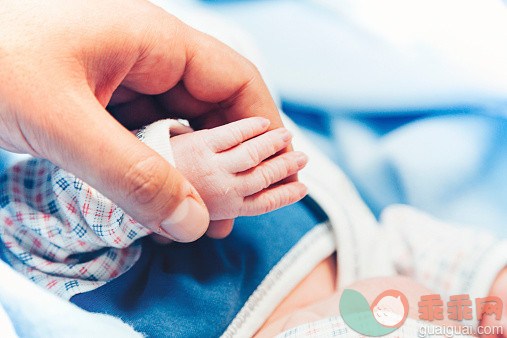 人,爱的,深情的,手,手指_537738739_Newborn baby is holding_创意图片_Getty Images China