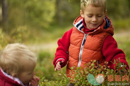 人,食品,自然,户外,茄克_157940311_Children picking blueberries in the woods_创意图片_Getty Images China