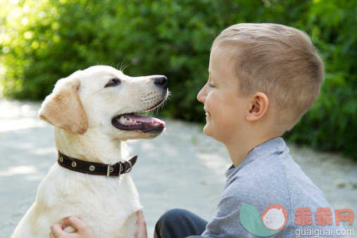 明亮,人,自然,户外,人的脸部_168504818_child and dog_创意图片_Getty Images China