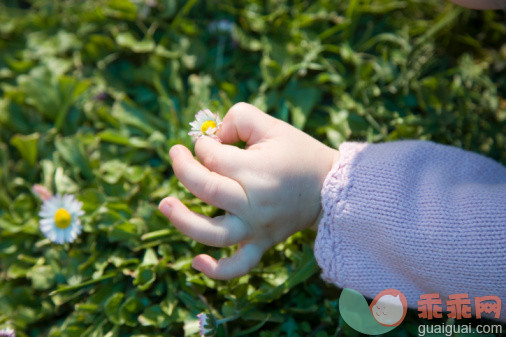 概念,构图,图像,摄影,人体_72723990_Baby girl (15-18 months) picking flower, close-up_创意图片_Getty Images China