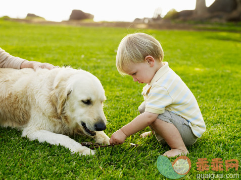 人,衣服,户外,金色头发,手_88507121_Young boy playing with Golden Retriever dog_创意图片_Getty Images China