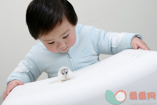 人,休闲装,桌子,12到17个月,影棚拍摄_93277055_child and white hamster_创意图片_Getty Images China