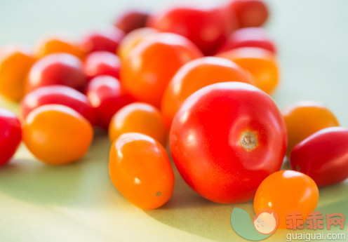 饮食,食品,影棚拍摄,蔬菜,西红柿_156850230_Studio Shot of tomatoes_创意图片_Getty Images China