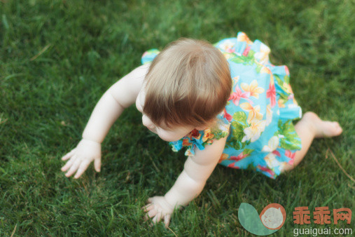 人,婴儿服装,12到17个月,户外,金色头发_158289606_Girl crawling on lawn_创意图片_Getty Images China