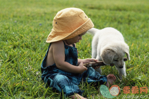 人,帽子,生活方式,户外,爱的_128393370_Baby girl in hat playing with puppy_创意图片_Getty Images China