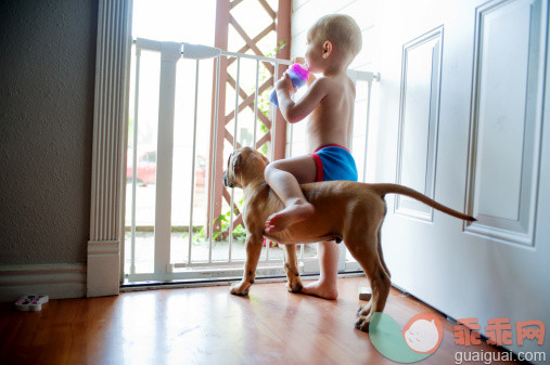 人,室内,住宅房间,动物,狗_150961273_Baby riding puppy_创意图片_Getty Images China