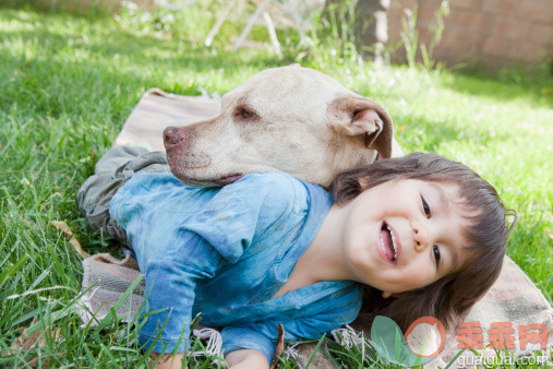 人,自然,12到17个月,户外,快乐_131574999_Mixed race boy playing with dog in grass_创意图片_Getty Images China