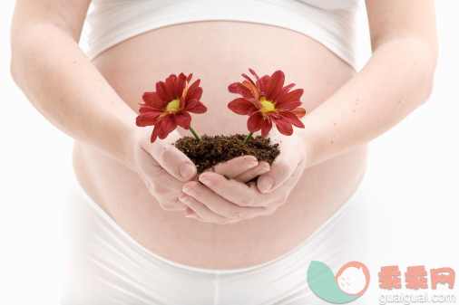 人,衣服,半装,影棚拍摄,室内_82568579_pregnant woman with two daisy flower in her hands_创意图片_Getty Images China