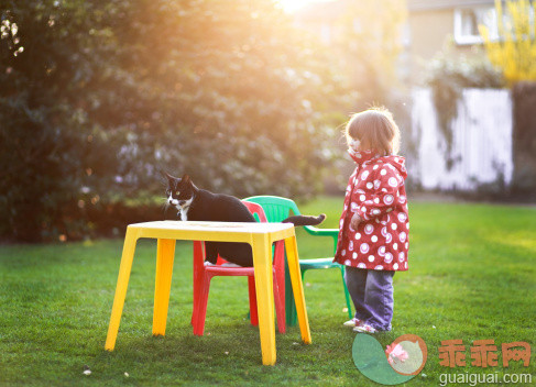 人,休闲装,椅子,桌子,12到17个月_162366794_Toddler & cat_创意图片_Getty Images China