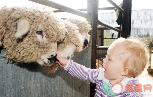 公园,人,户外,白人,农场_gic16621008_Little girl petting sheep_创意图片_Getty Images China