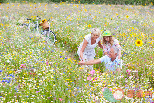 人,帽子,环境,生活方式,自然_150640137_Senior couple and granddaughter looking at blossoms in field of wildflowers_创意图片_Getty Images China