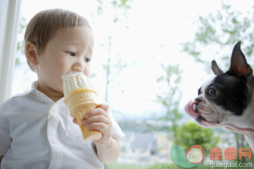 人,衣服,食品,室内,人的头部_91178041_Dog staring at ice cream in boy's hand_创意图片_Getty Images China