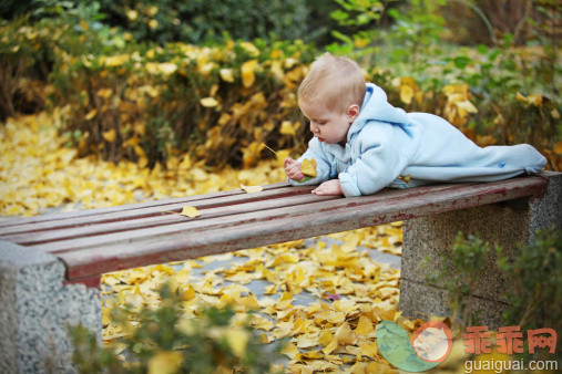 人,自然,户外,白人,公园_148426546_baby with autumn leaves_创意图片_Getty Images China
