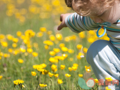 人,自然,户外,卷发,金色头发_477157153_Close-up of baby in a field of yellow flowers_创意图片_Getty Images China