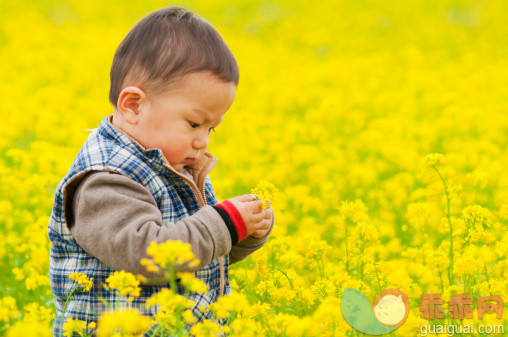 人,婴儿服装,12到17个月,户外,站_143605208_Little boy stands in flower field_创意图片_Getty Images China