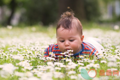 人,婴儿服装,户外,棕色头发,条纹_492716589_Baby boy on the meadow of flovers_创意图片_Getty Images China