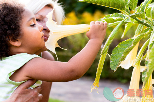 人,生活方式,户外,人的脸部,白人_157501688_Grandmother and Granddaughter Discover the Scent of Brugmansia ( serie)_创意图片_Getty Images China